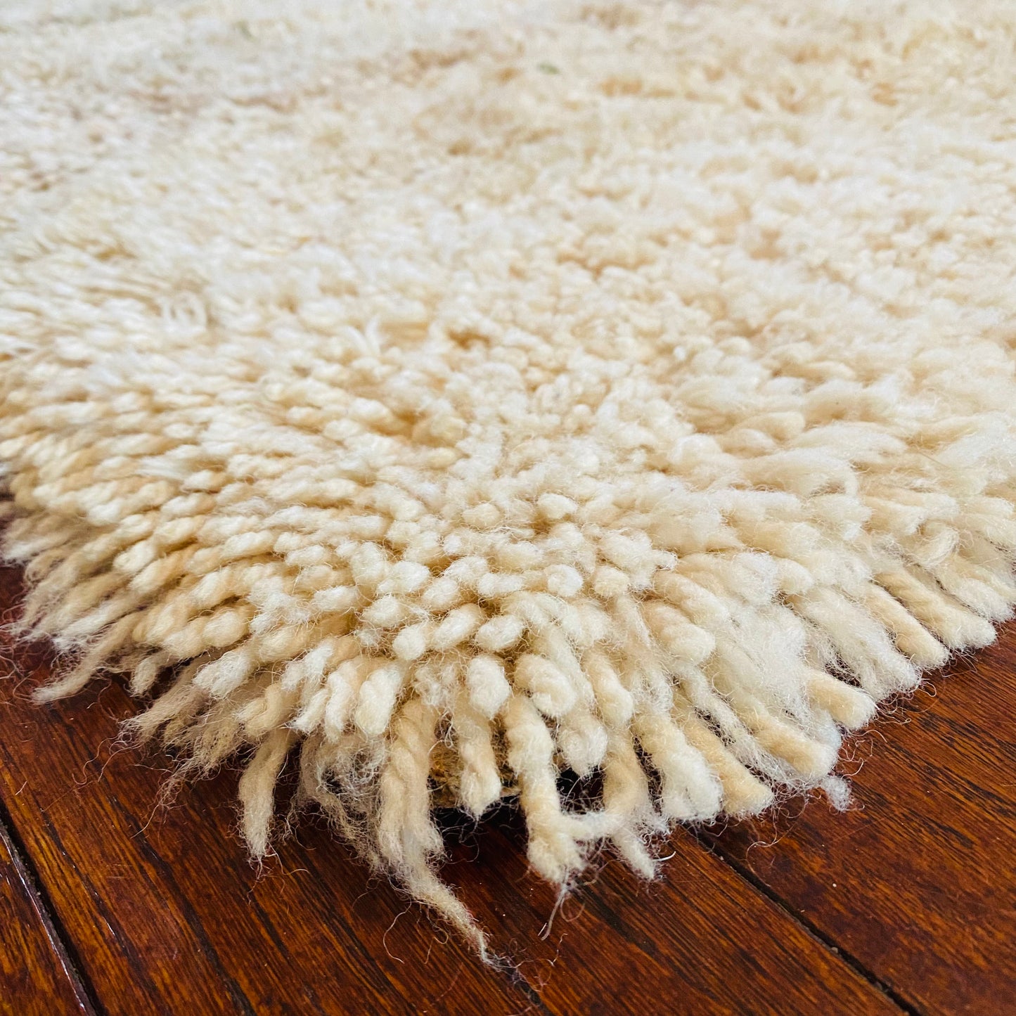 Denmark Wool EGE Top of the Line Rug 4’x6’