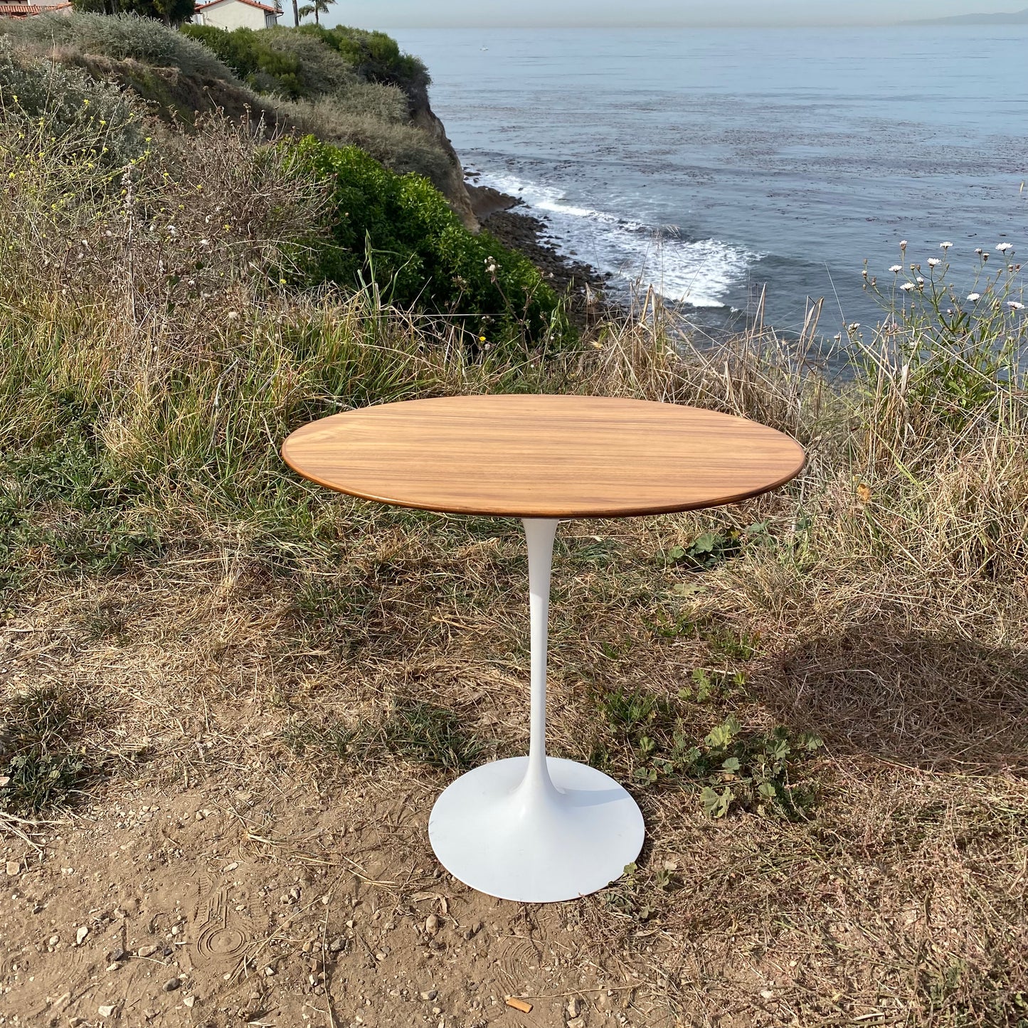 Knoll Eero Saarinen Oval Side Table w/ Teak Top & White Tulip Base