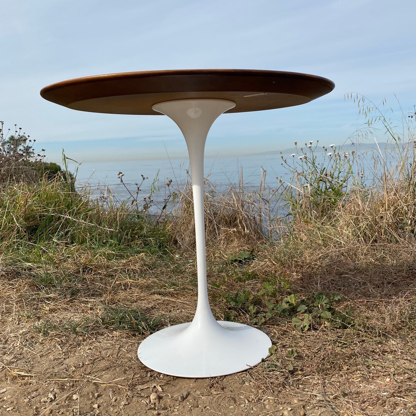 Knoll Eero Saarinen Oval Side Table w/ Teak Top & White Tulip Base