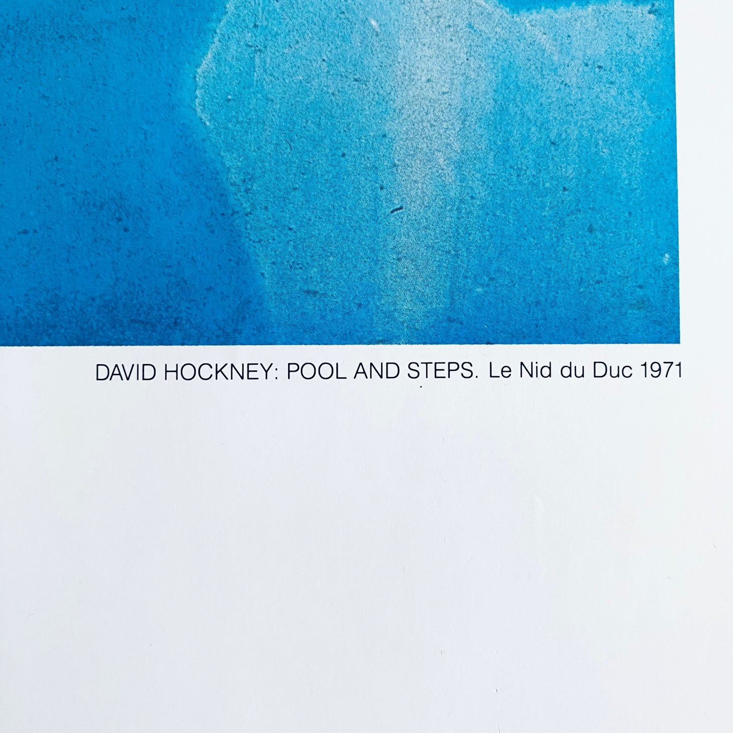 David Hockney Vintage 1976 Lithograph Print Framed Pop Art Denmark Exhibition Poster " Pool & Steps. Le Nid Du Duc " 1971